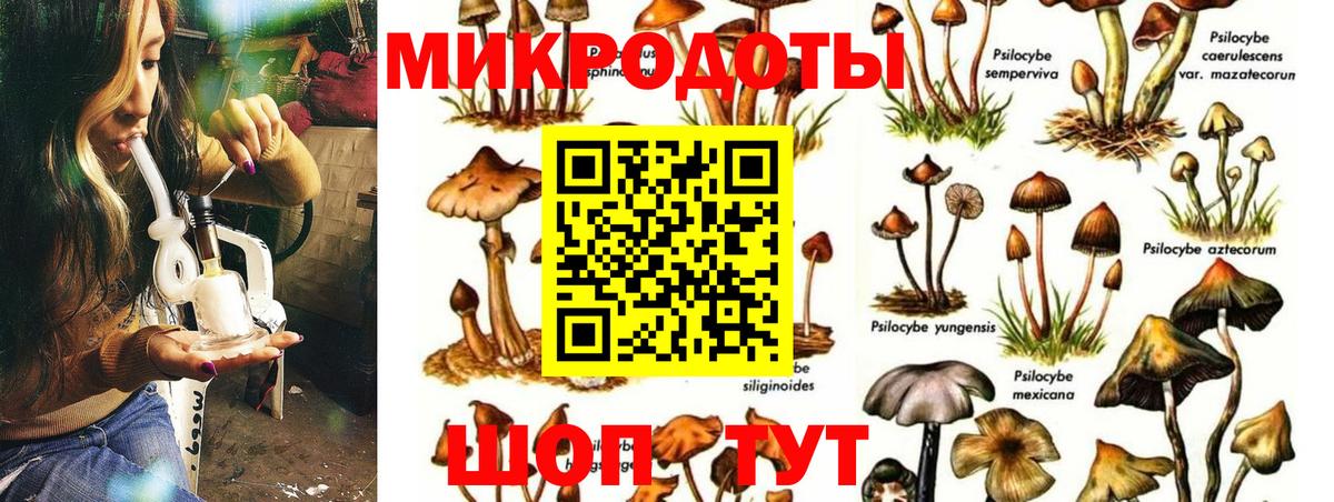 Видное  Псилоцибиновые грибы Cubensis  Вход с VPN 