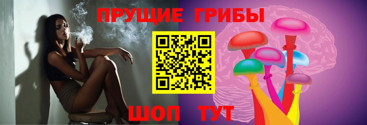 Галлюциногенные грибы Psilocybe Видное